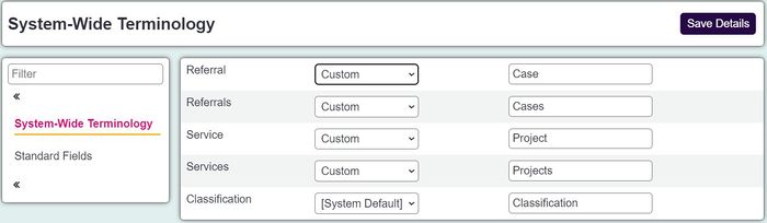 "a screenshot of the system wide terminology section. This displays a field for referrals, projects and classification codes, with a field for renaming them."