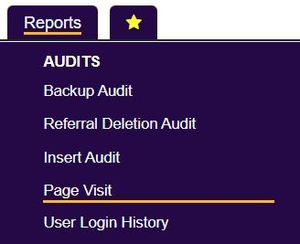 "a screenshot of the page visit report button, highlighted under the reporting menu."