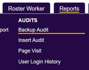 "a screenshot of the audit report button in the reporting menu"