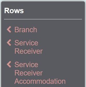 "a screenshot of the rows, showing an option for branch, service receiver, service receiver accommodation."