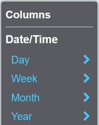 "a screenshot of the columns, showing an option for day, week, month and year."